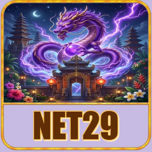 net29