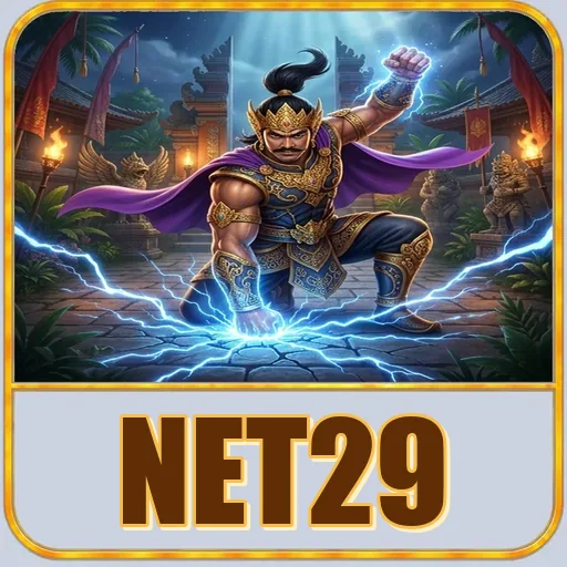 net29