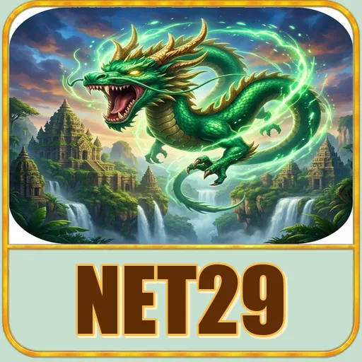 net29